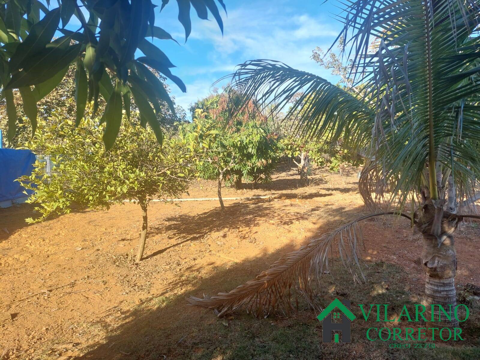 Fazenda à venda com 6 quartos, 500m² - Foto 44