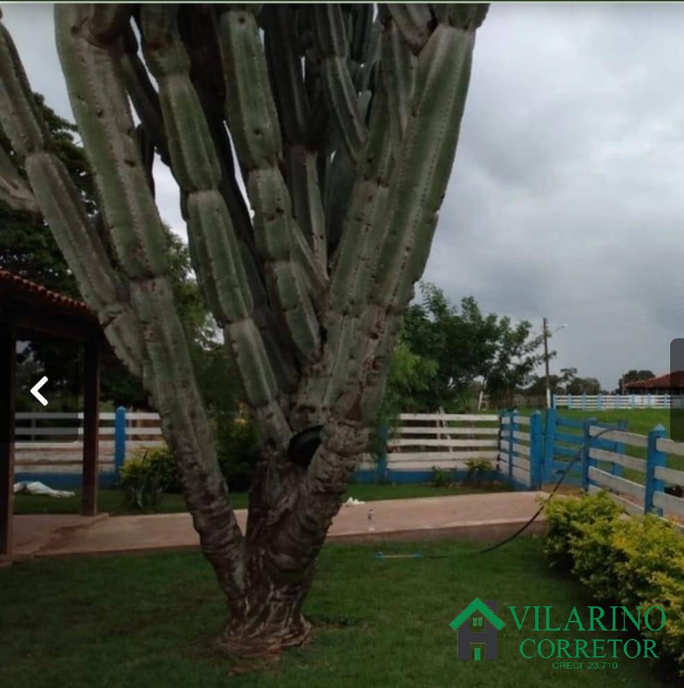 Fazenda à venda com 3 quartos, 200m² - Foto 2