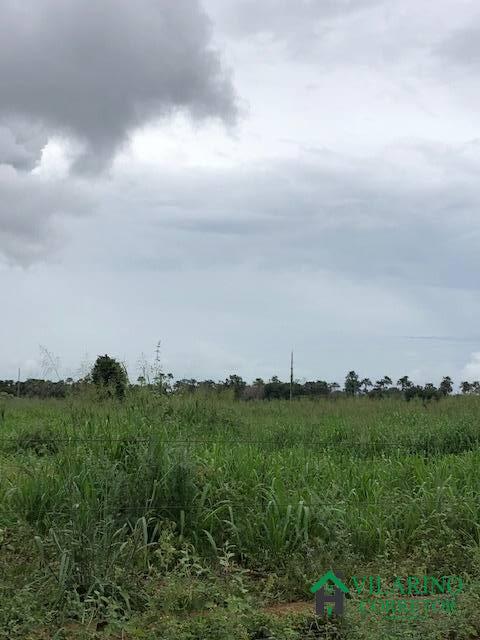 Fazenda à venda com 3 quartos, 200m² - Foto 7