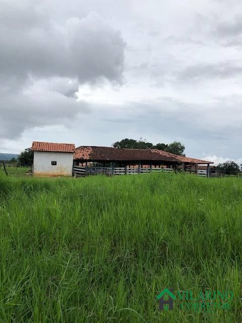 Fazenda à venda com 3 quartos, 200m² - Foto 11