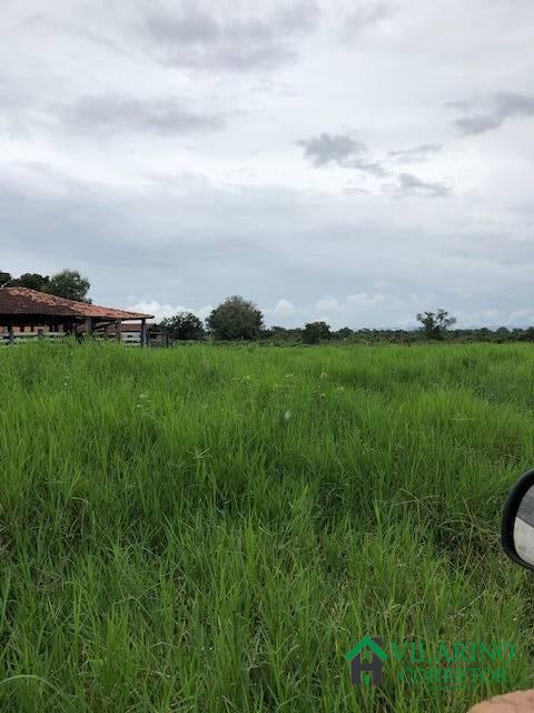 Fazenda à venda com 3 quartos, 200m² - Foto 14