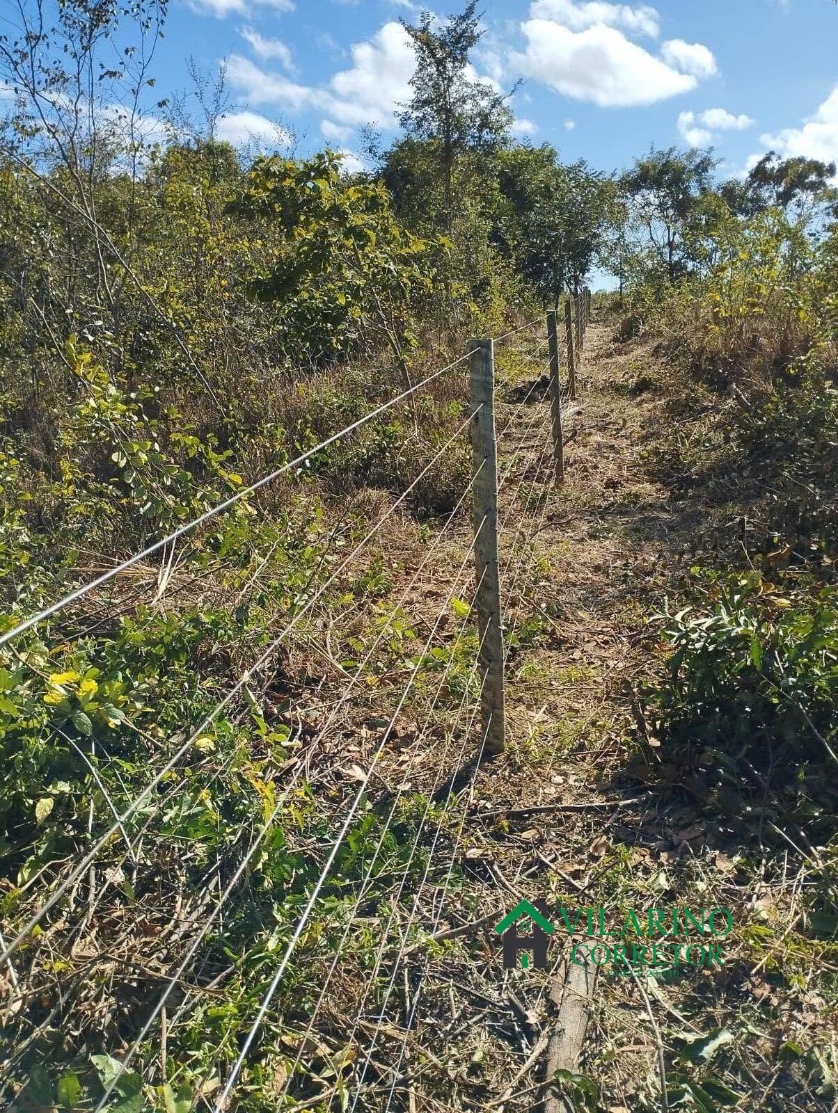 Fazenda à venda com 3 quartos, 200m² - Foto 17