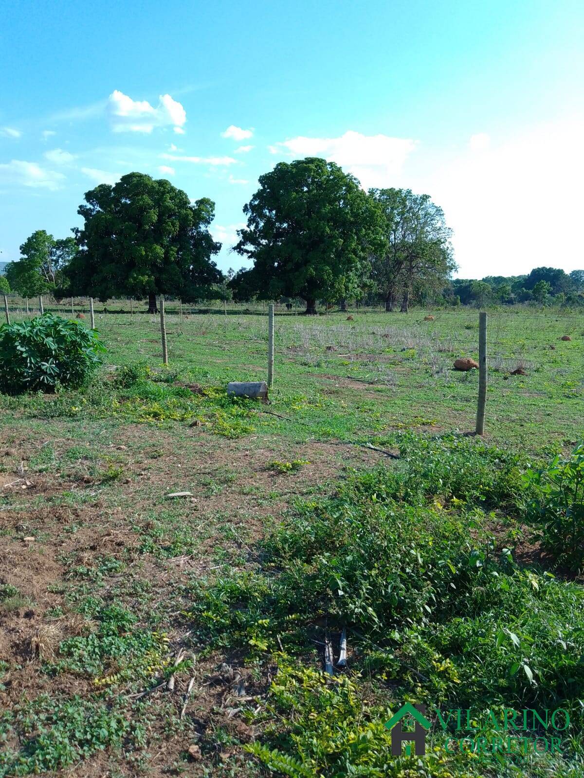 Fazenda à venda com 3 quartos, 200m² - Foto 26