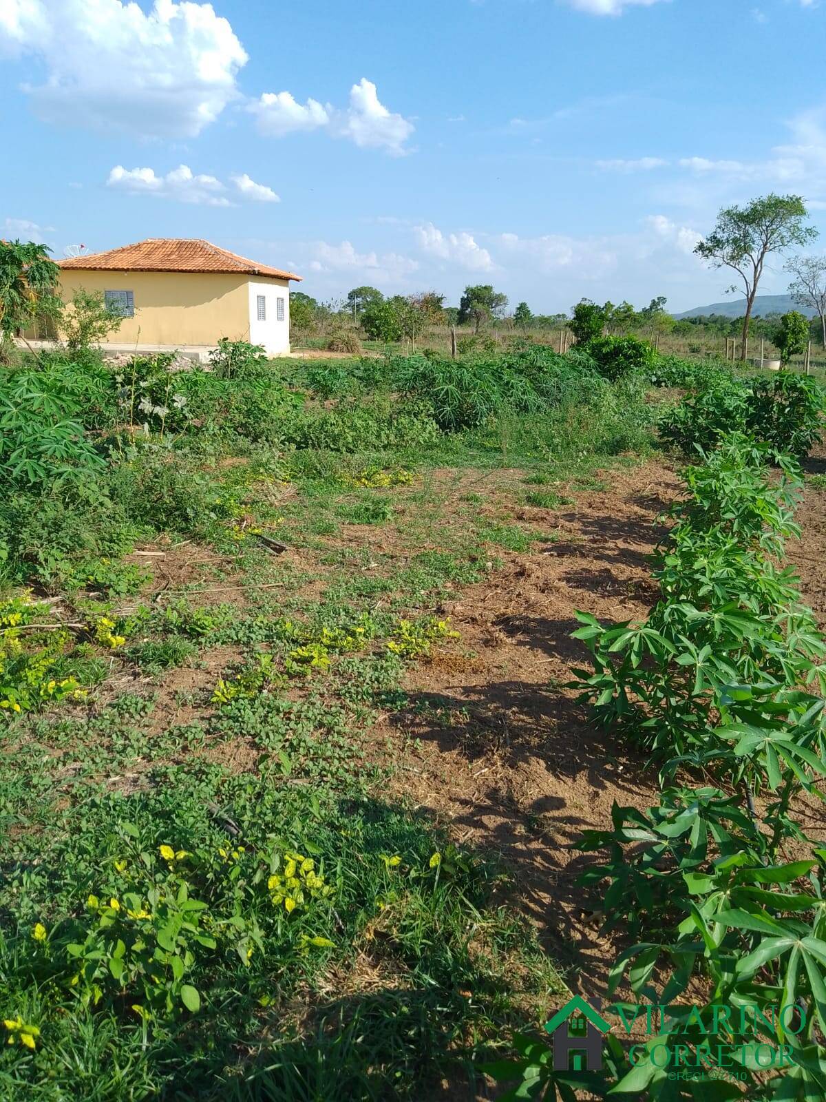 Fazenda à venda com 3 quartos, 200m² - Foto 27