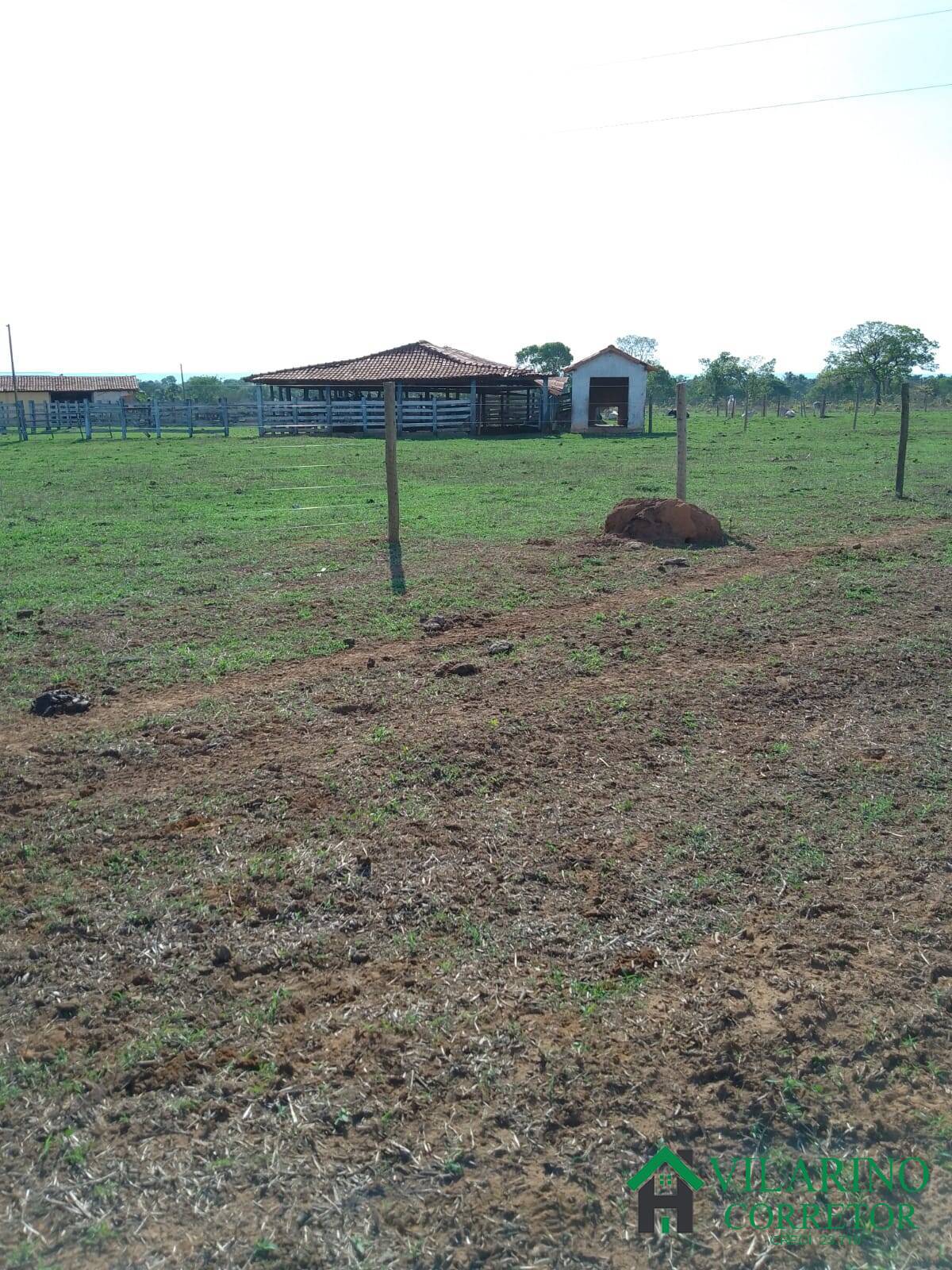 Fazenda à venda com 3 quartos, 200m² - Foto 28