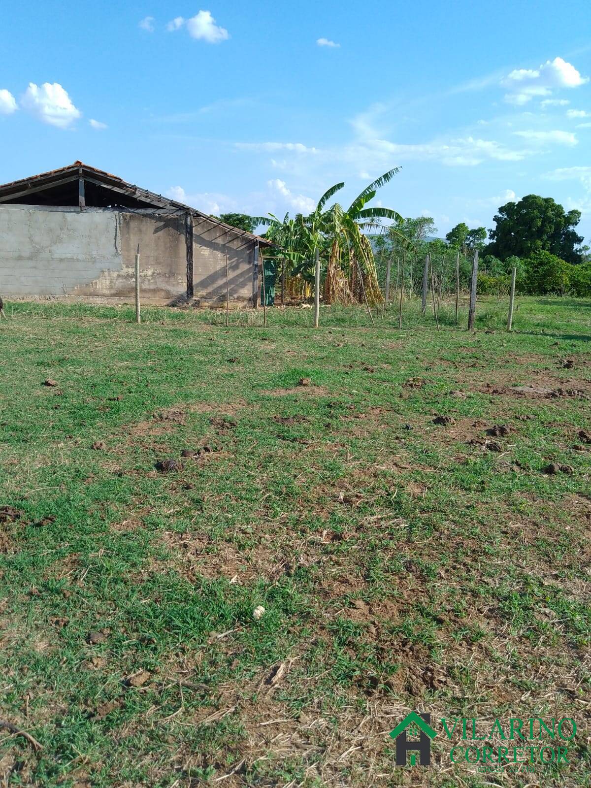 Fazenda à venda com 3 quartos, 200m² - Foto 30