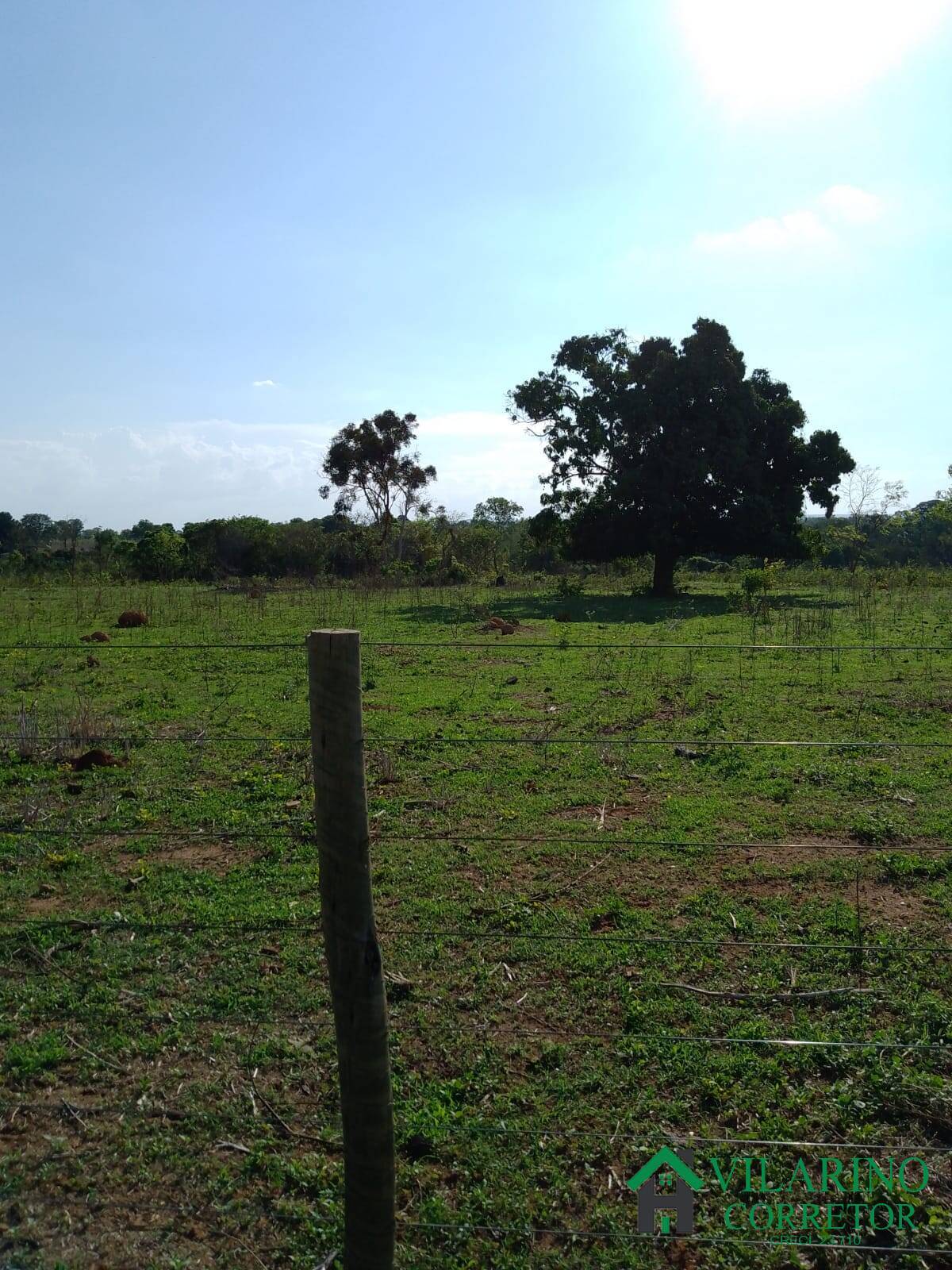 Fazenda à venda com 3 quartos, 200m² - Foto 31