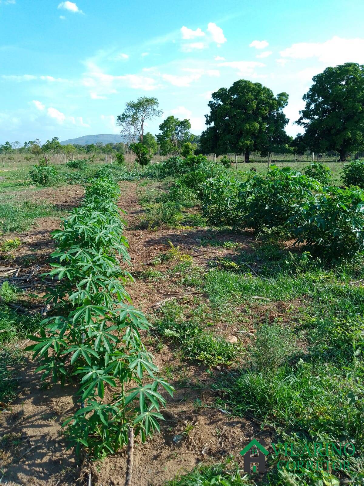 Fazenda à venda com 3 quartos, 200m² - Foto 34