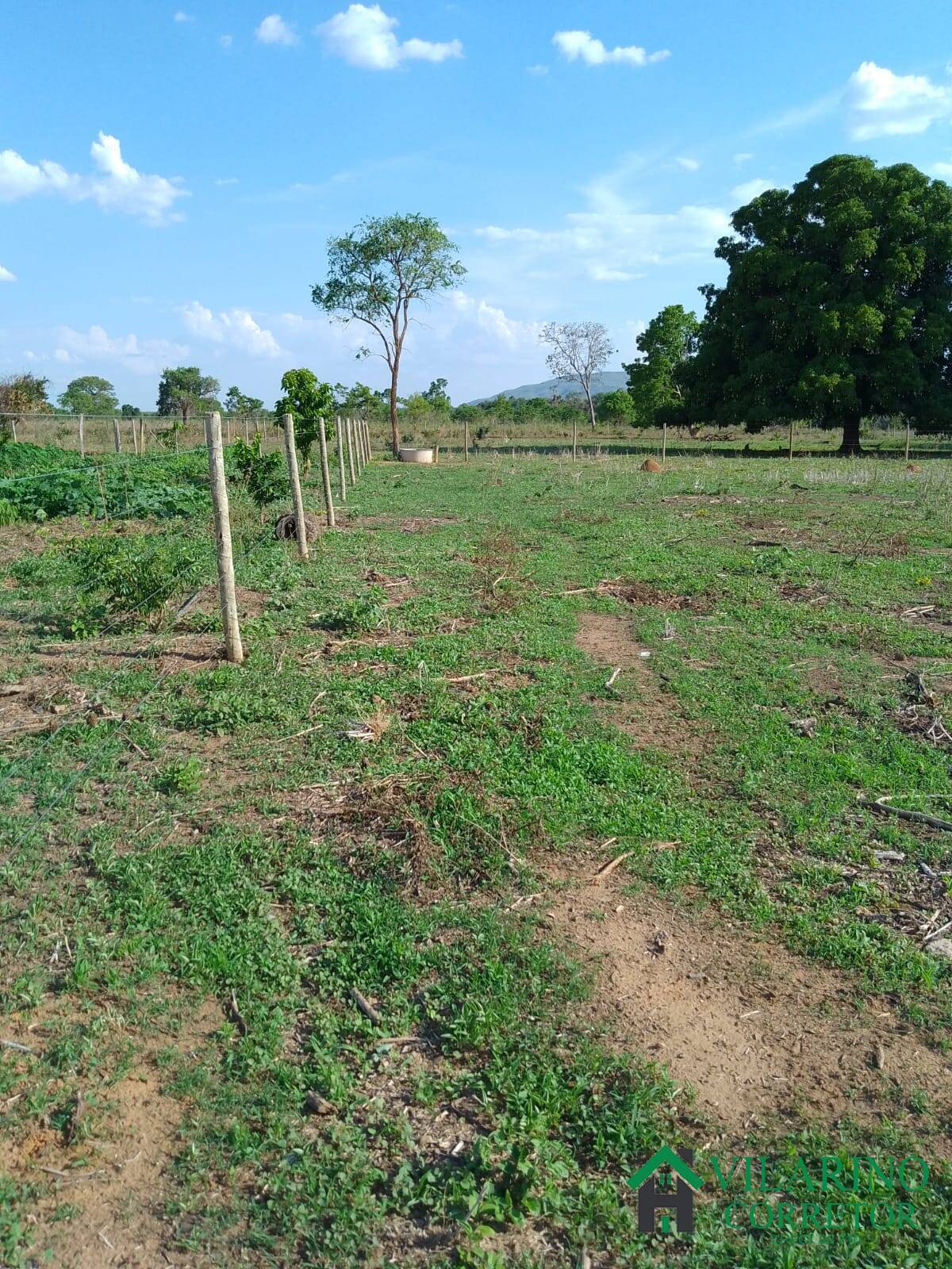 Fazenda à venda com 3 quartos, 200m² - Foto 35