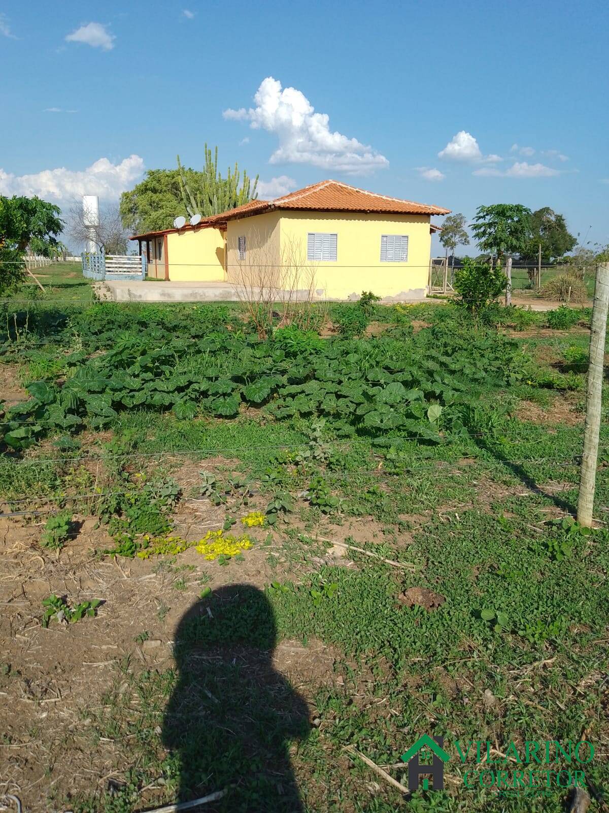 Fazenda à venda com 3 quartos, 200m² - Foto 36