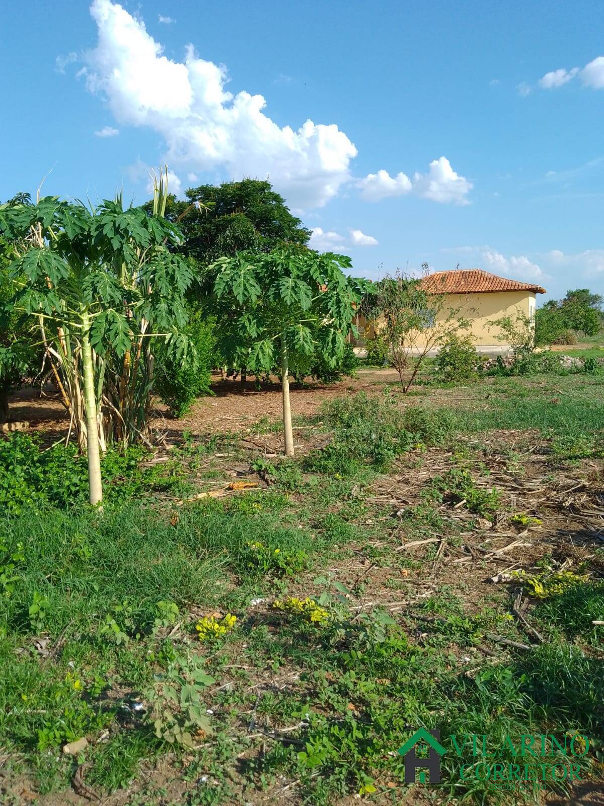 Fazenda à venda com 3 quartos, 200m² - Foto 41