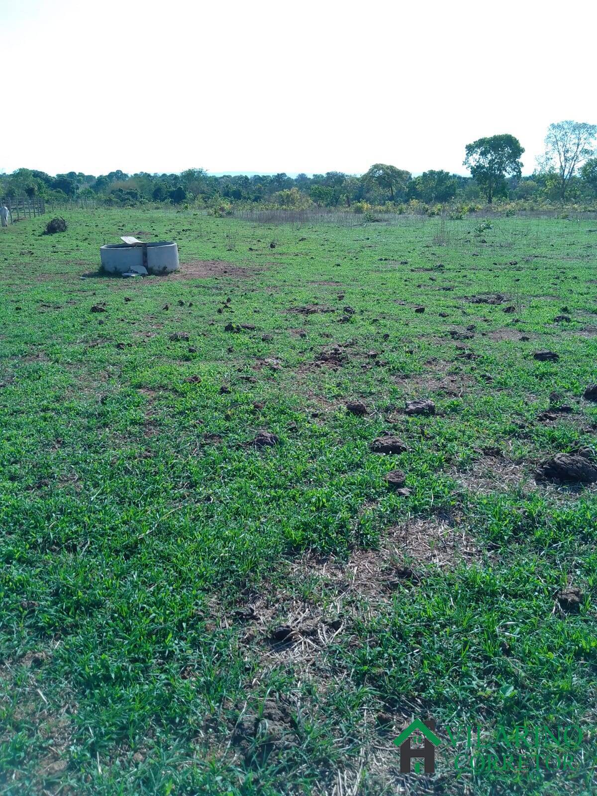 Fazenda à venda com 3 quartos, 200m² - Foto 43