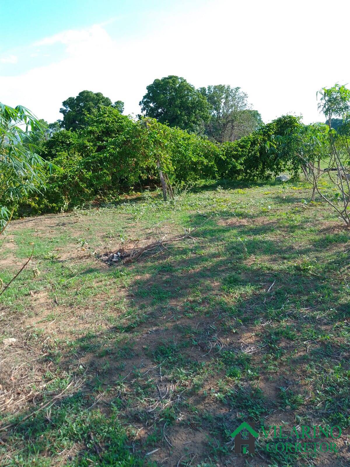 Fazenda à venda com 3 quartos, 200m² - Foto 47