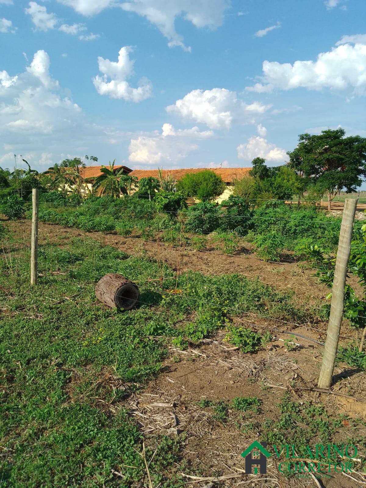 Fazenda à venda com 3 quartos, 200m² - Foto 53