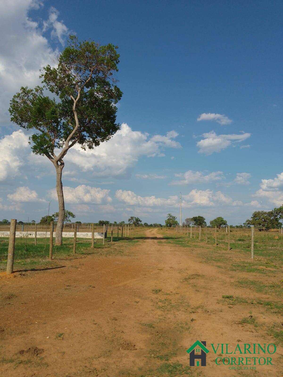 Fazenda à venda com 3 quartos, 200m² - Foto 56