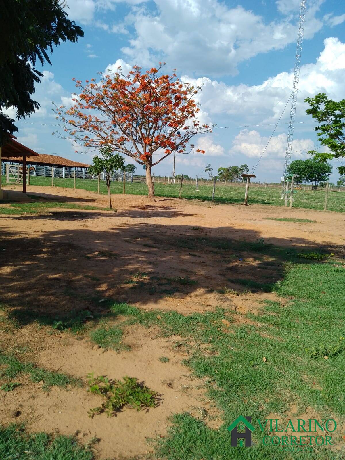 Fazenda à venda com 3 quartos, 200m² - Foto 50