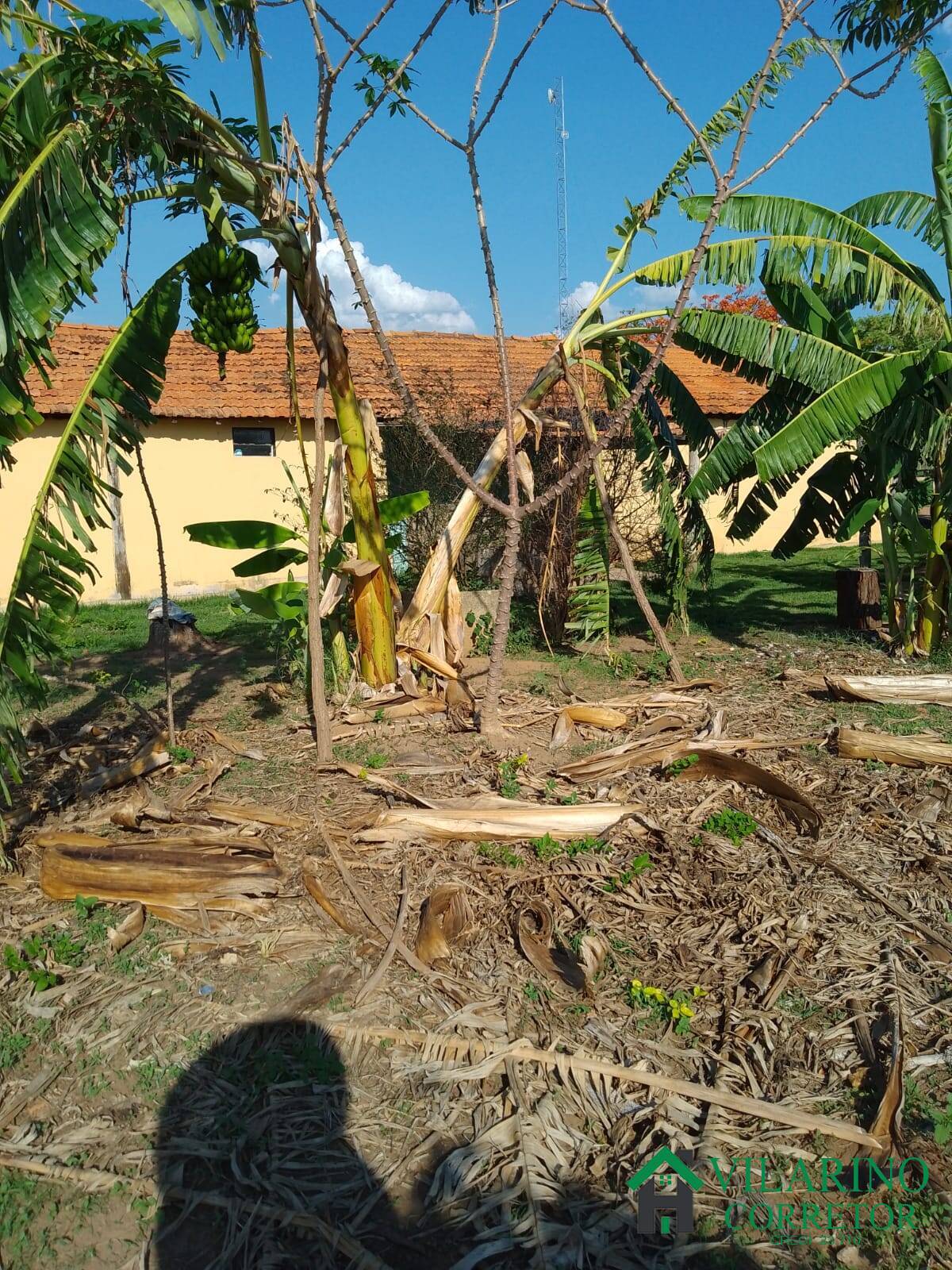 Fazenda à venda com 3 quartos, 200m² - Foto 58