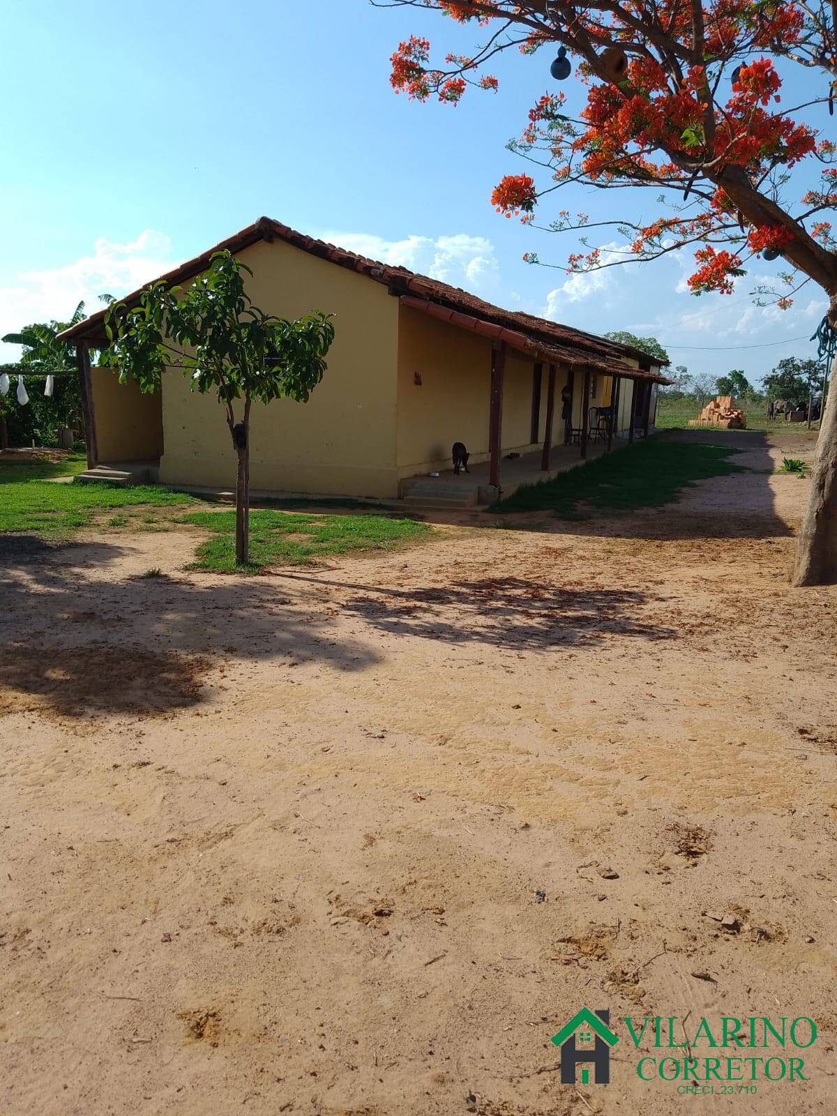 Fazenda à venda com 3 quartos, 200m² - Foto 40