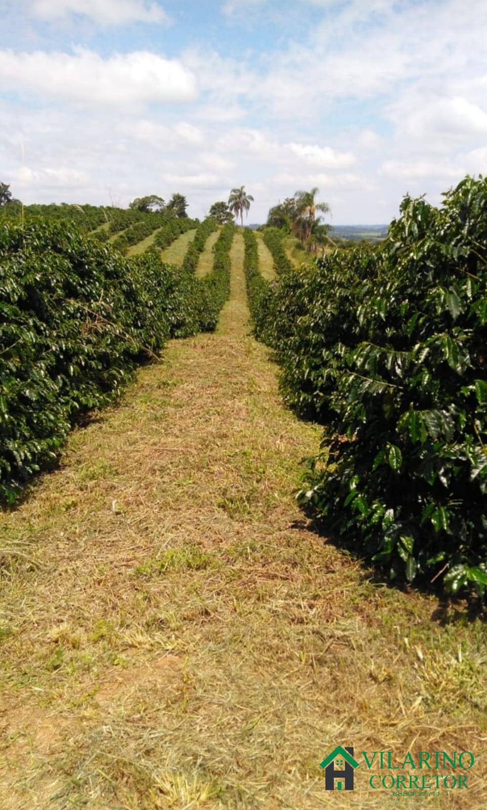 Fazenda à venda, 10m² - Foto 9