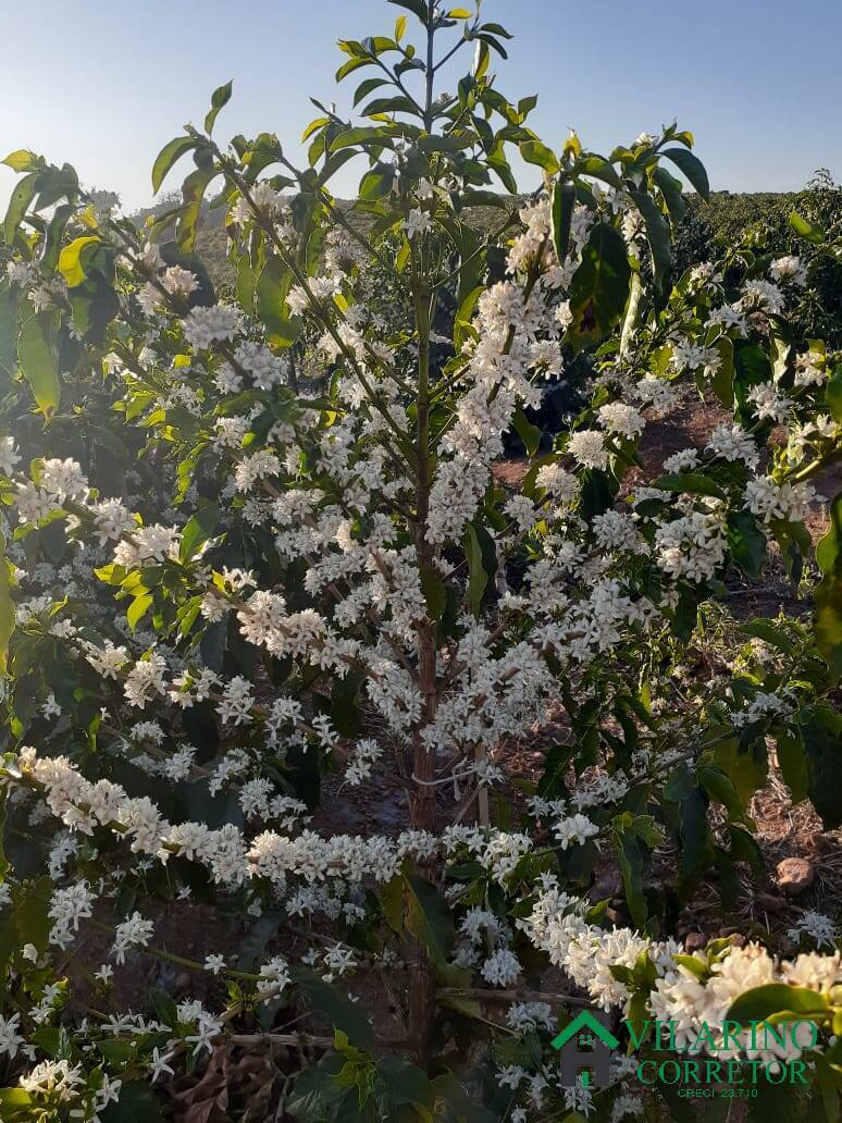 Fazenda à venda, 10m² - Foto 8