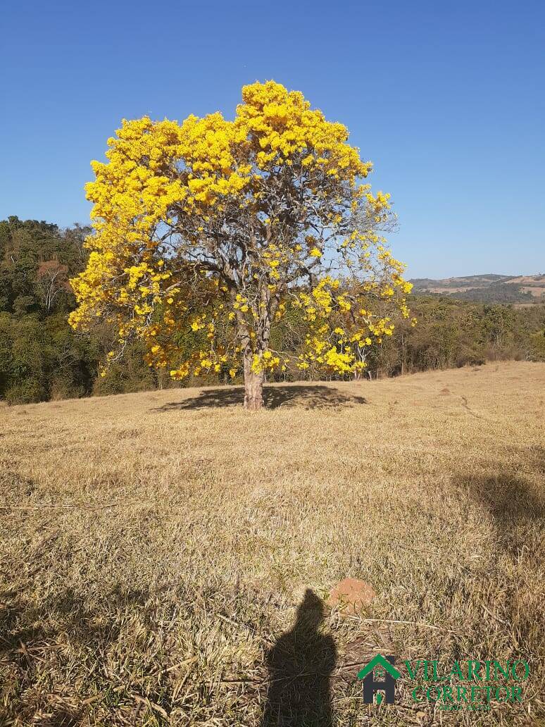 Fazenda à venda, 10m² - Foto 5