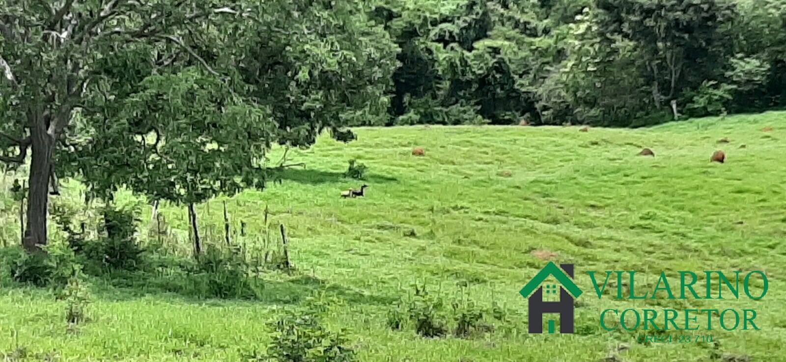 Fazenda à venda, 10m² - Foto 3