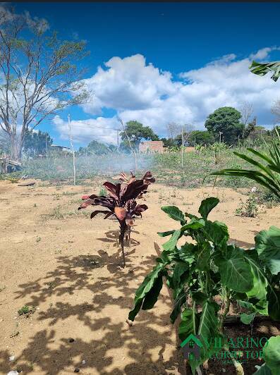 Fazenda à venda, 10m² - Foto 3