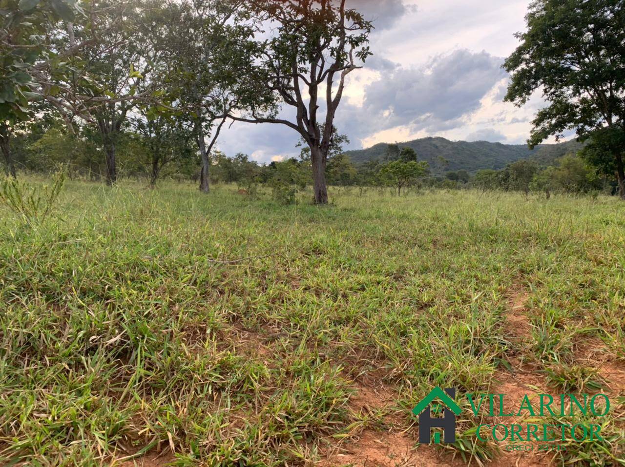 Fazenda à venda com 3 quartos, 500m² - Foto 2