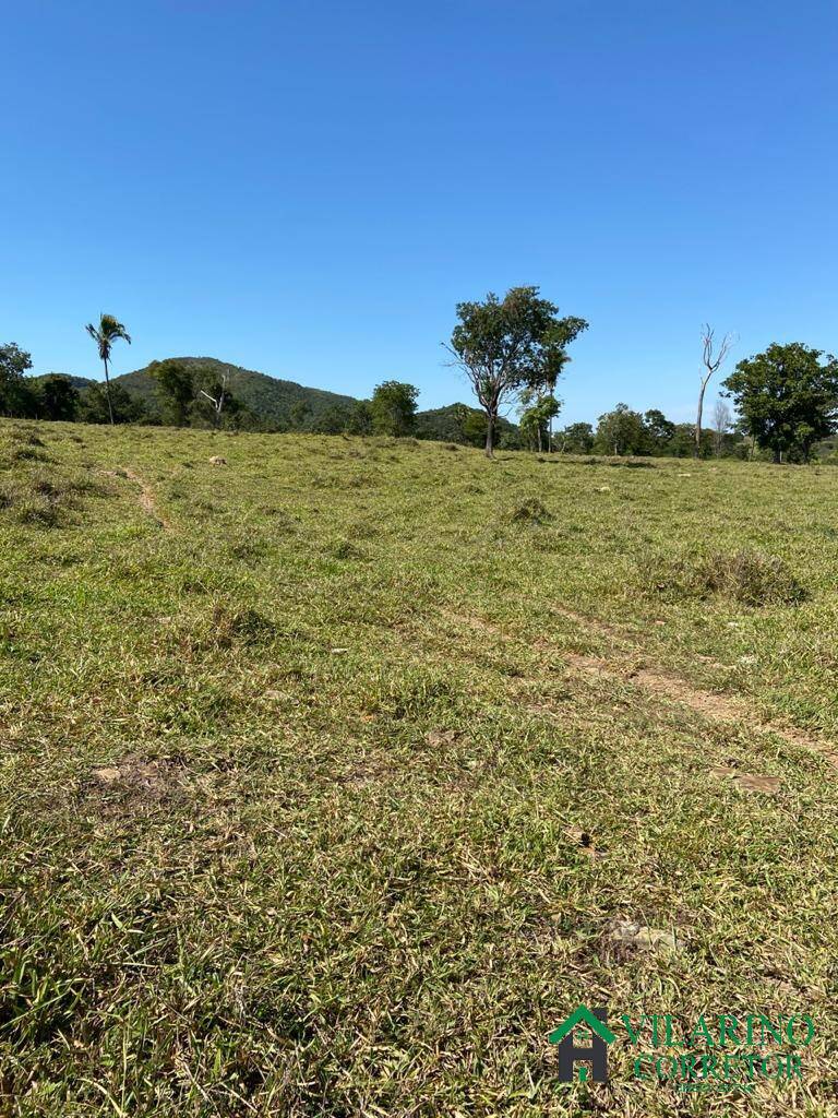 Fazenda à venda com 3 quartos, 500m² - Foto 3