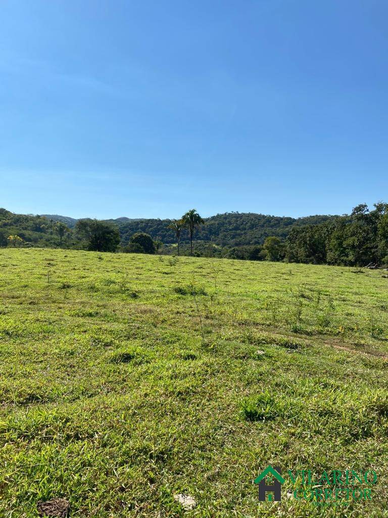 Fazenda à venda com 3 quartos, 500m² - Foto 4