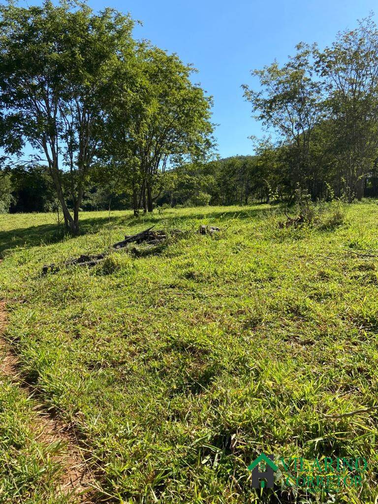 Fazenda à venda com 3 quartos, 500m² - Foto 5