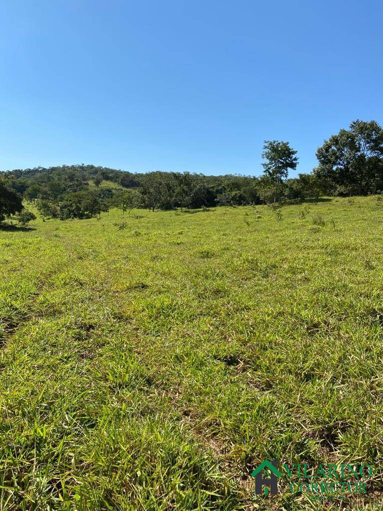 Fazenda à venda com 3 quartos, 500m² - Foto 6