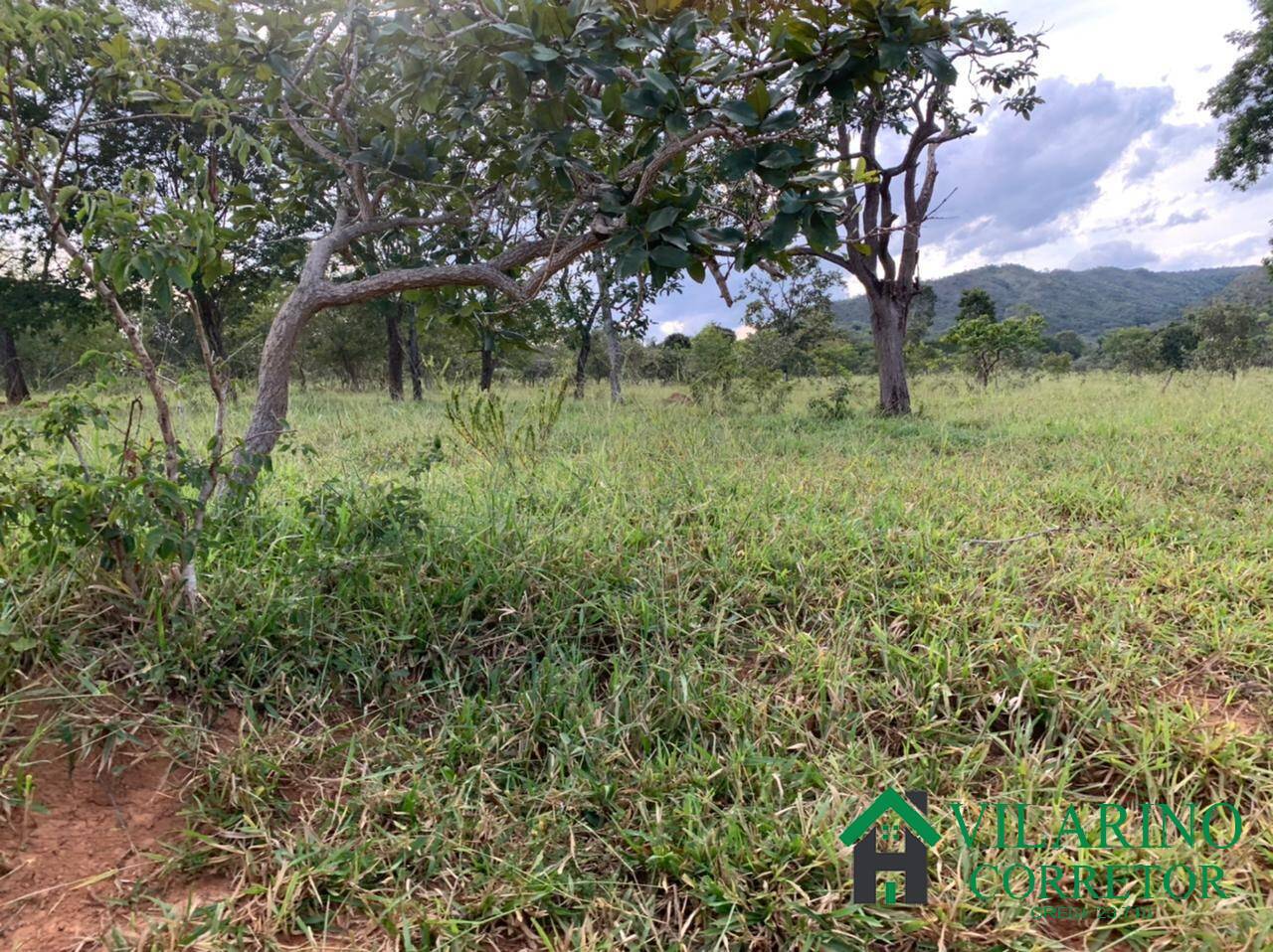 Fazenda à venda com 3 quartos, 500m² - Foto 8