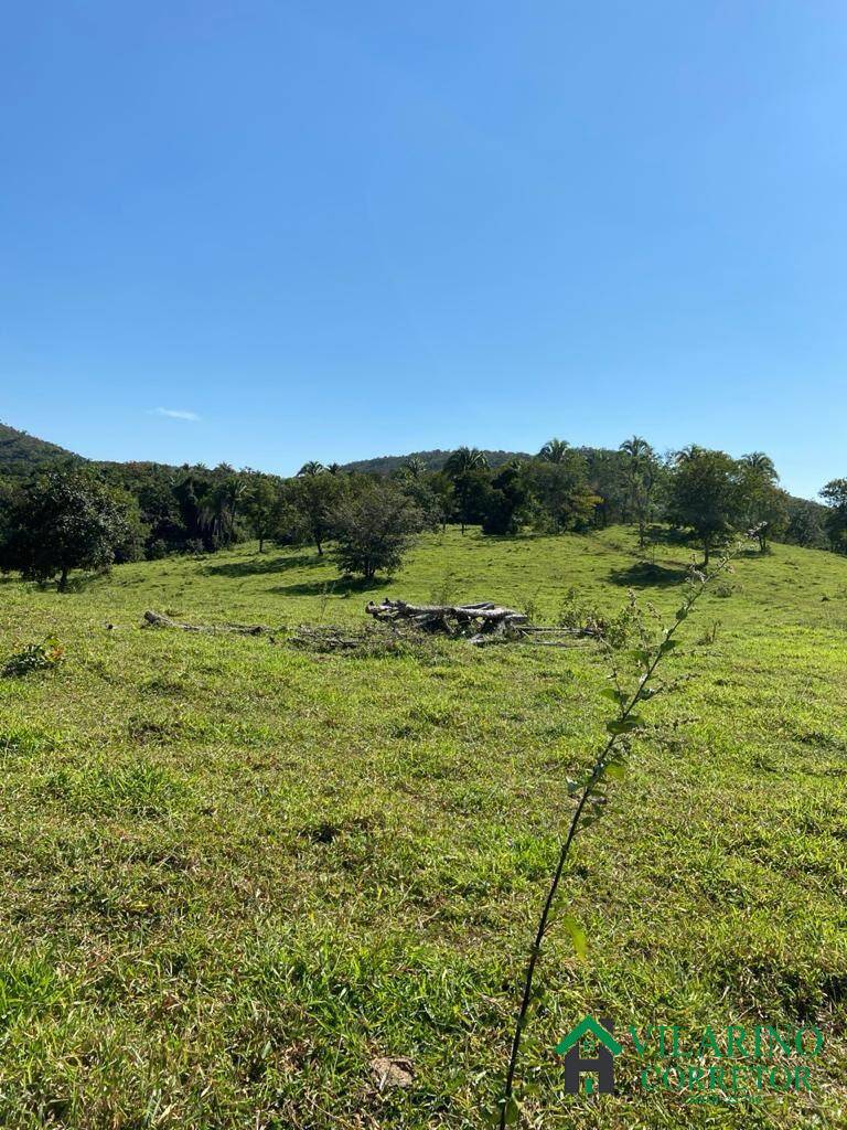 Fazenda à venda com 3 quartos, 500m² - Foto 14