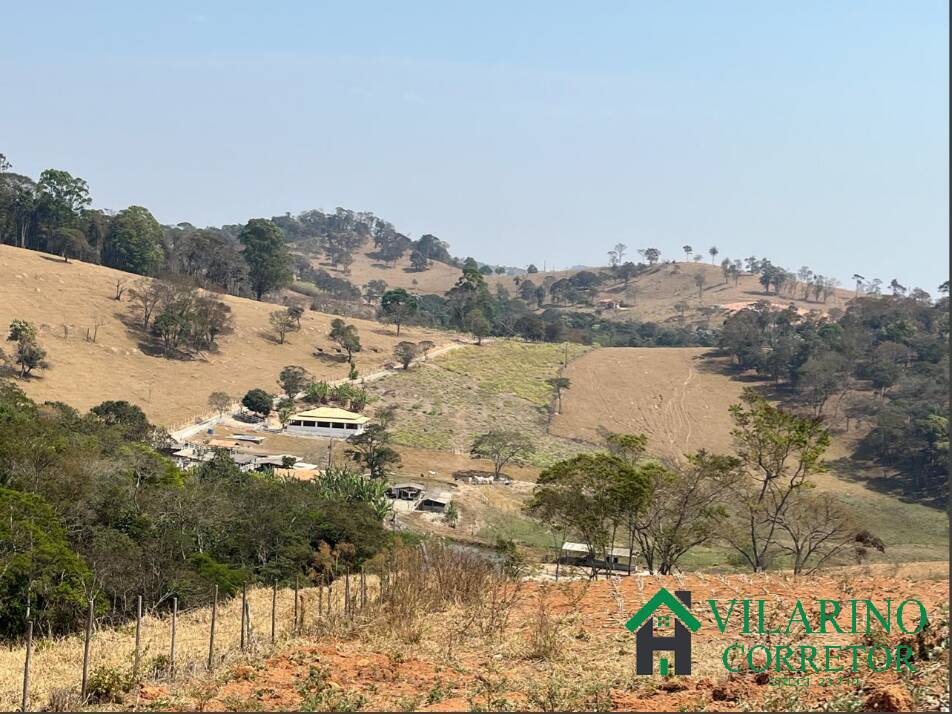 Fazenda à venda com 3 quartos, 570000m² - Foto 4