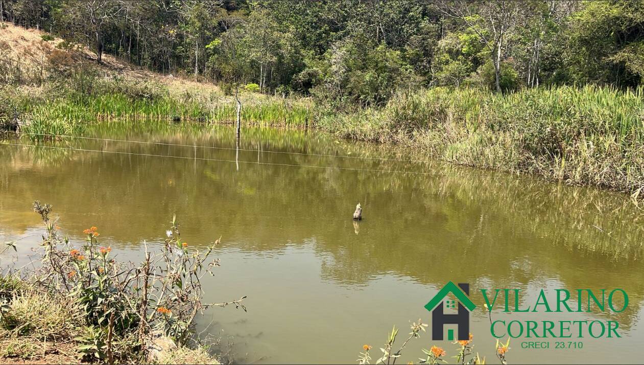 Fazenda à venda com 3 quartos, 570000m² - Foto 5