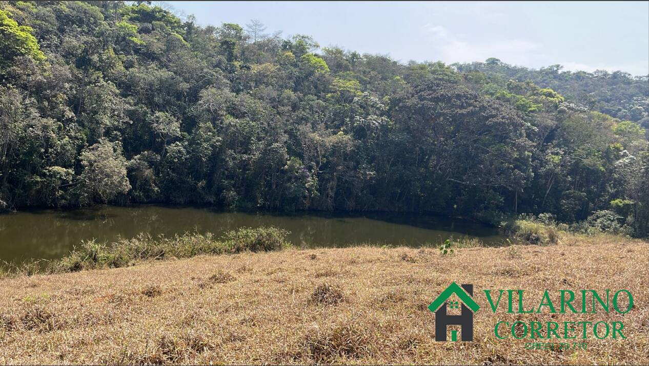 Fazenda à venda com 3 quartos, 570000m² - Foto 6