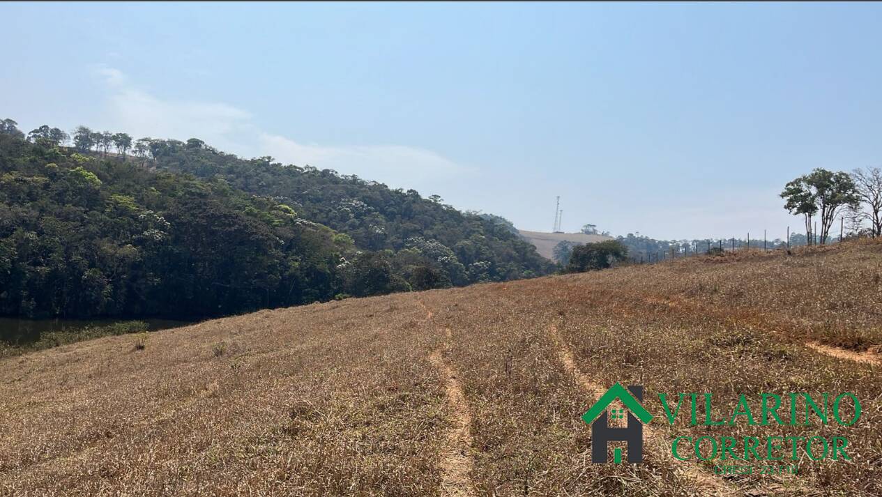 Fazenda à venda com 3 quartos, 570000m² - Foto 9