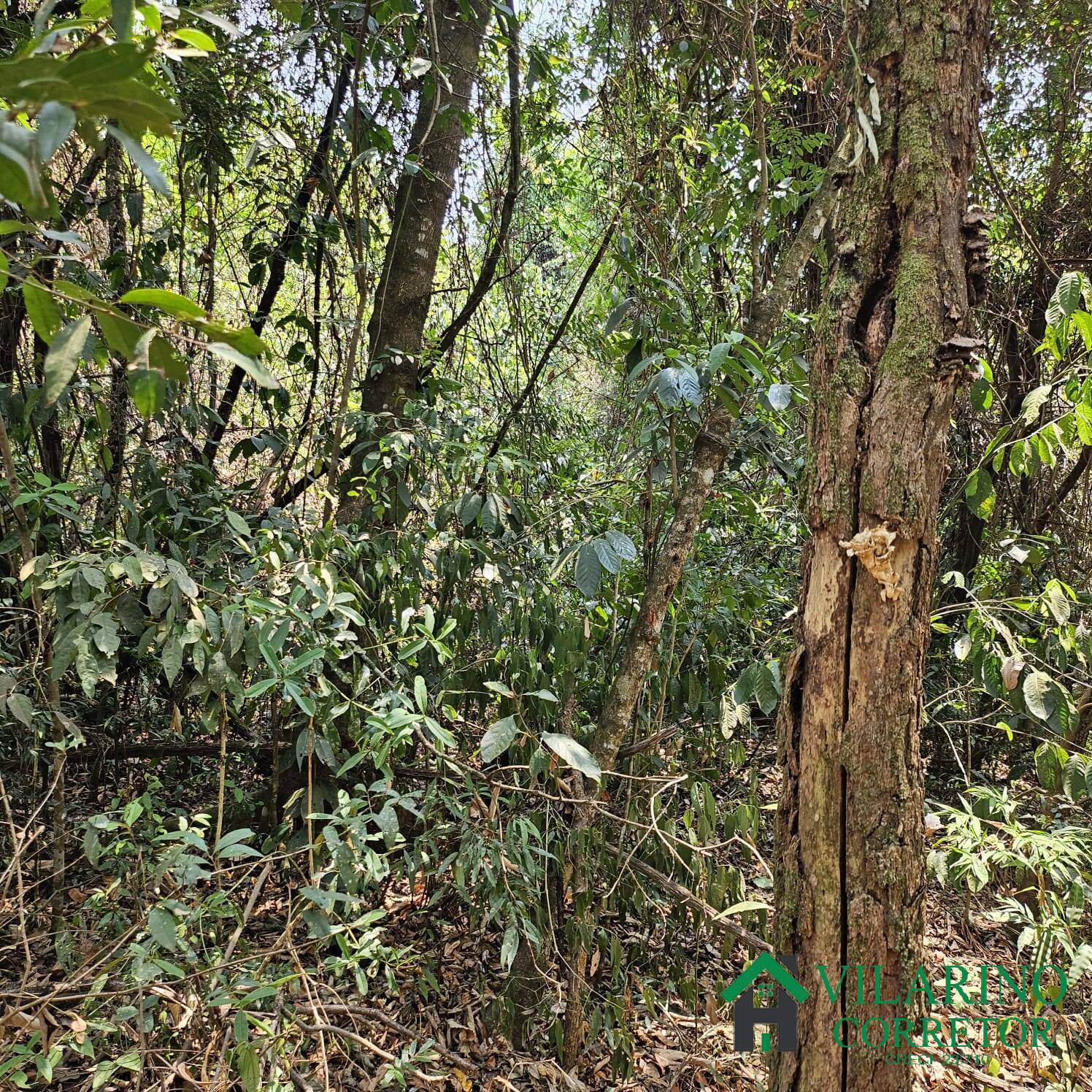 Terreno à venda, 20m² - Foto 5