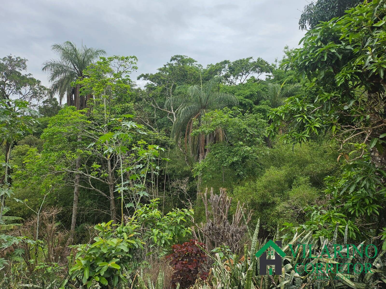 Fazenda à venda com 2 quartos, 300m² - Foto 11