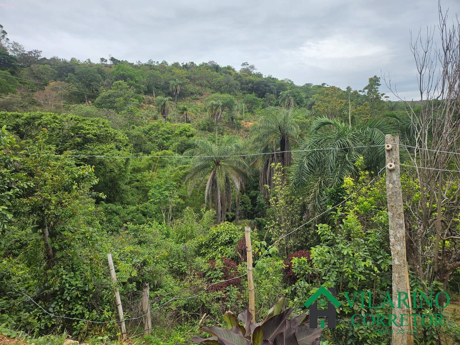 Fazenda à venda com 2 quartos, 300m² - Foto 13