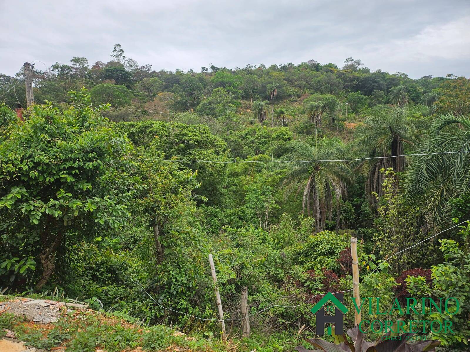 Fazenda à venda com 2 quartos, 300m² - Foto 14