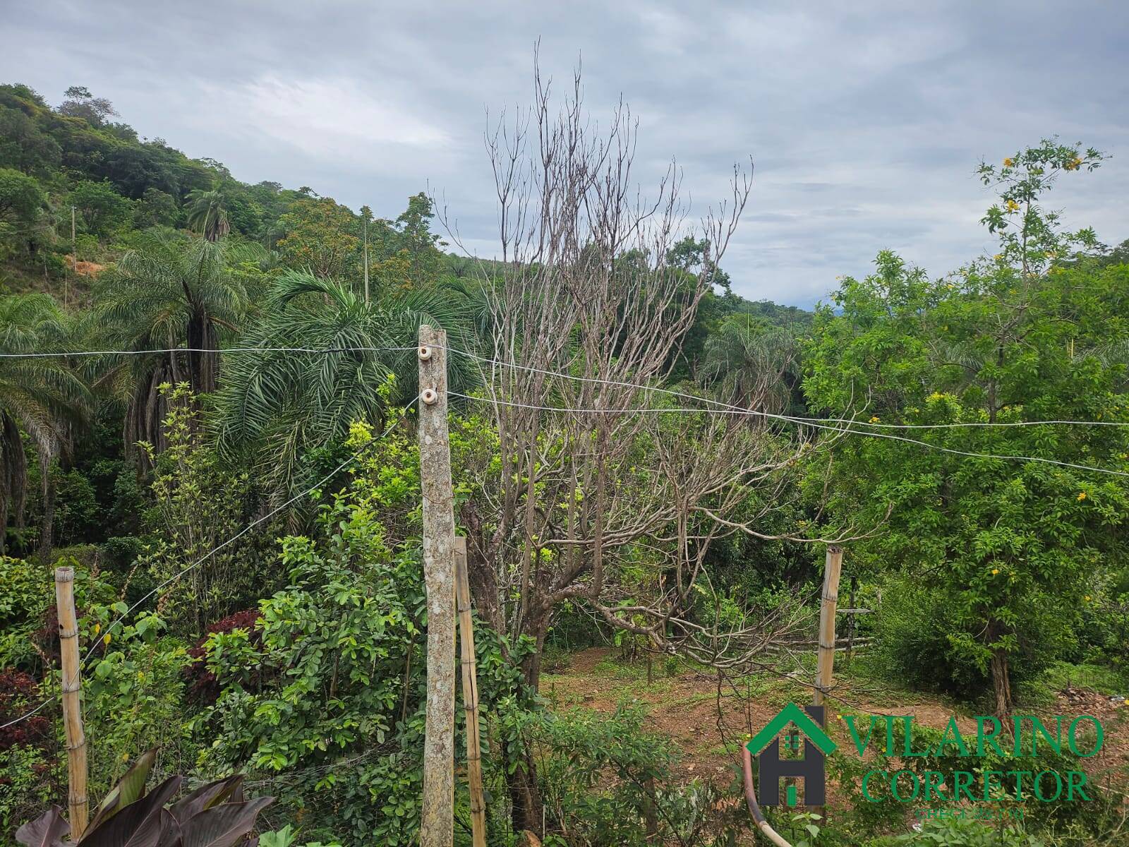 Fazenda à venda com 2 quartos, 300m² - Foto 19