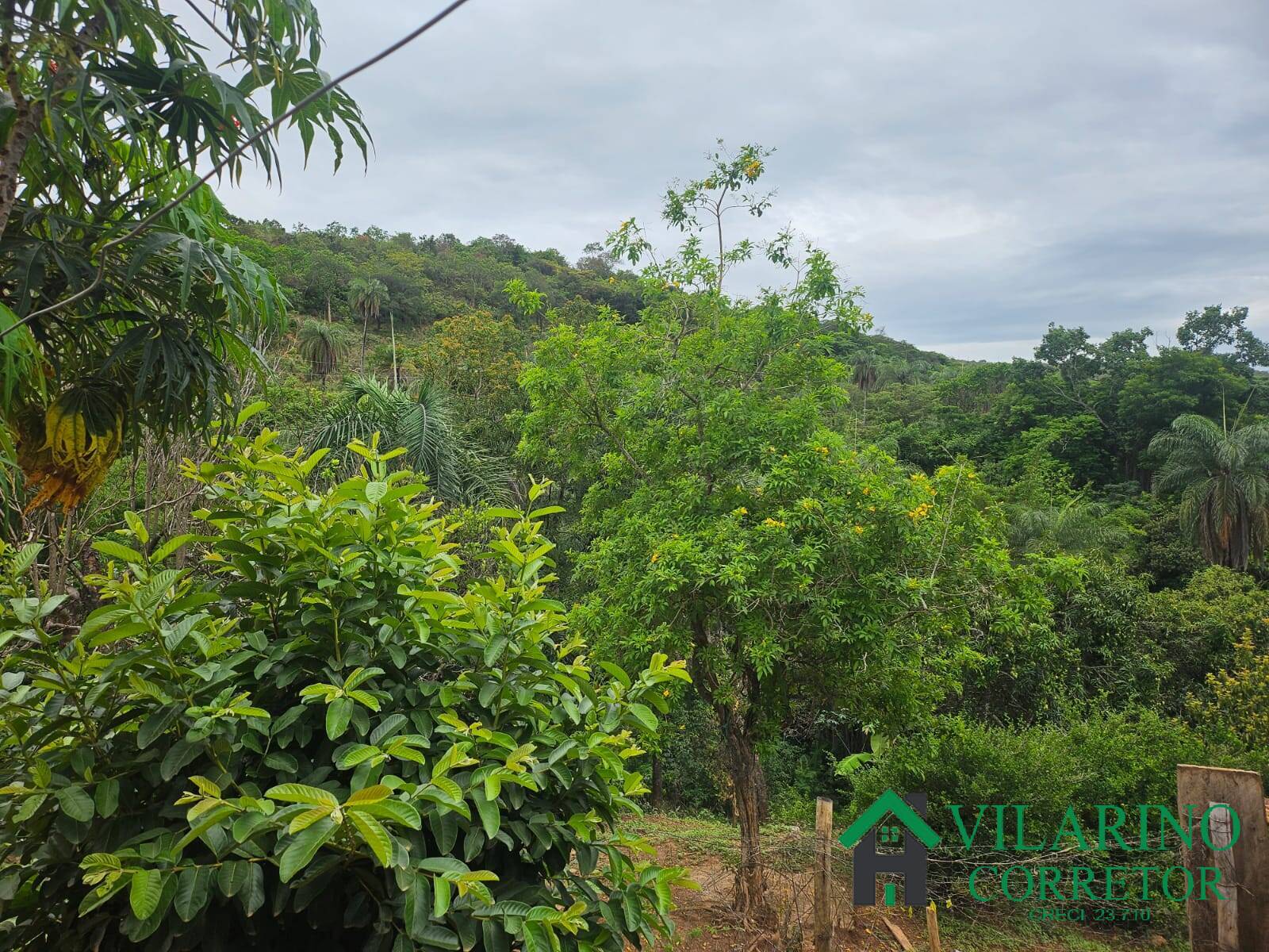 Fazenda à venda com 2 quartos, 300m² - Foto 21