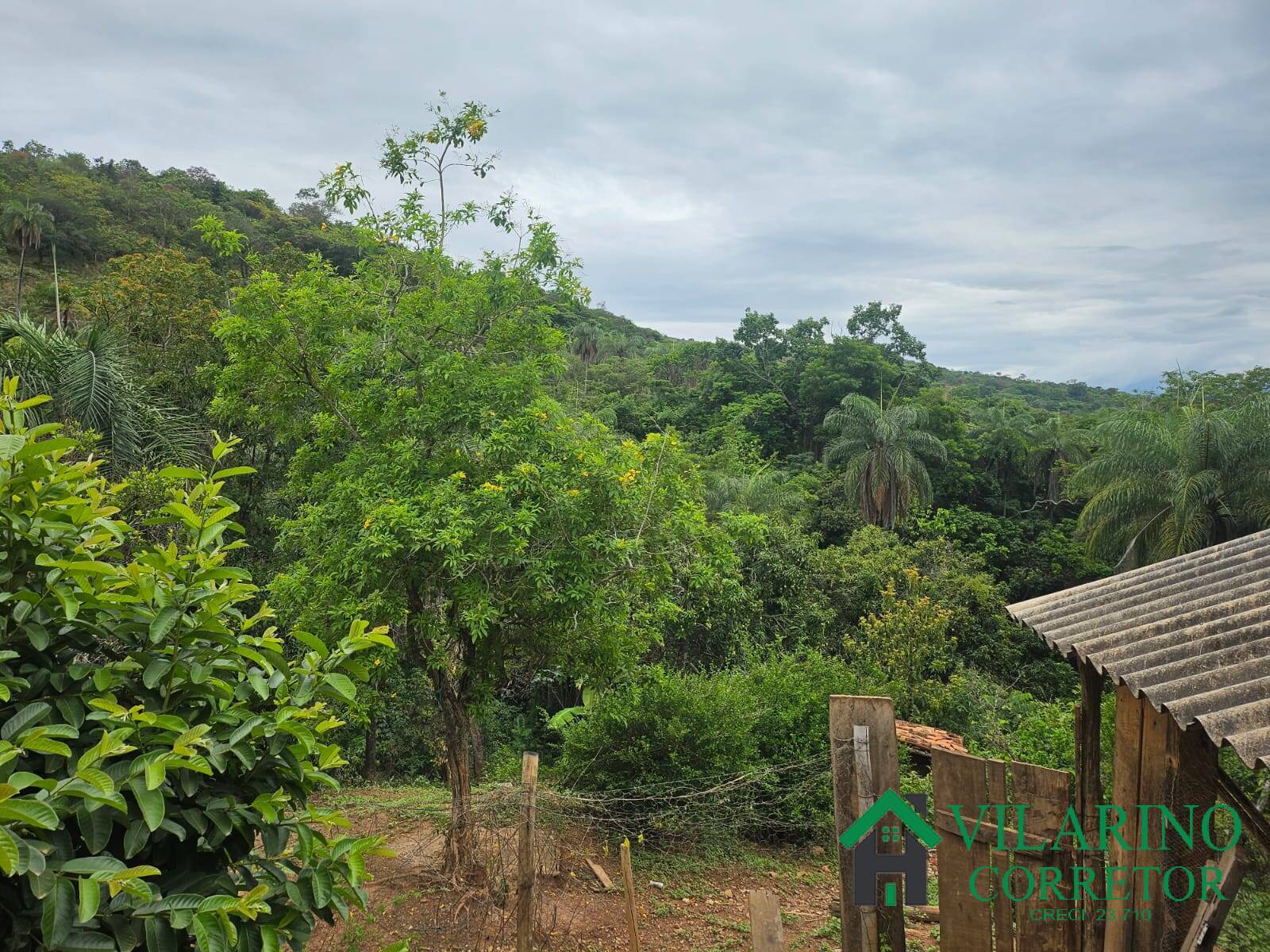 Fazenda à venda com 2 quartos, 300m² - Foto 22