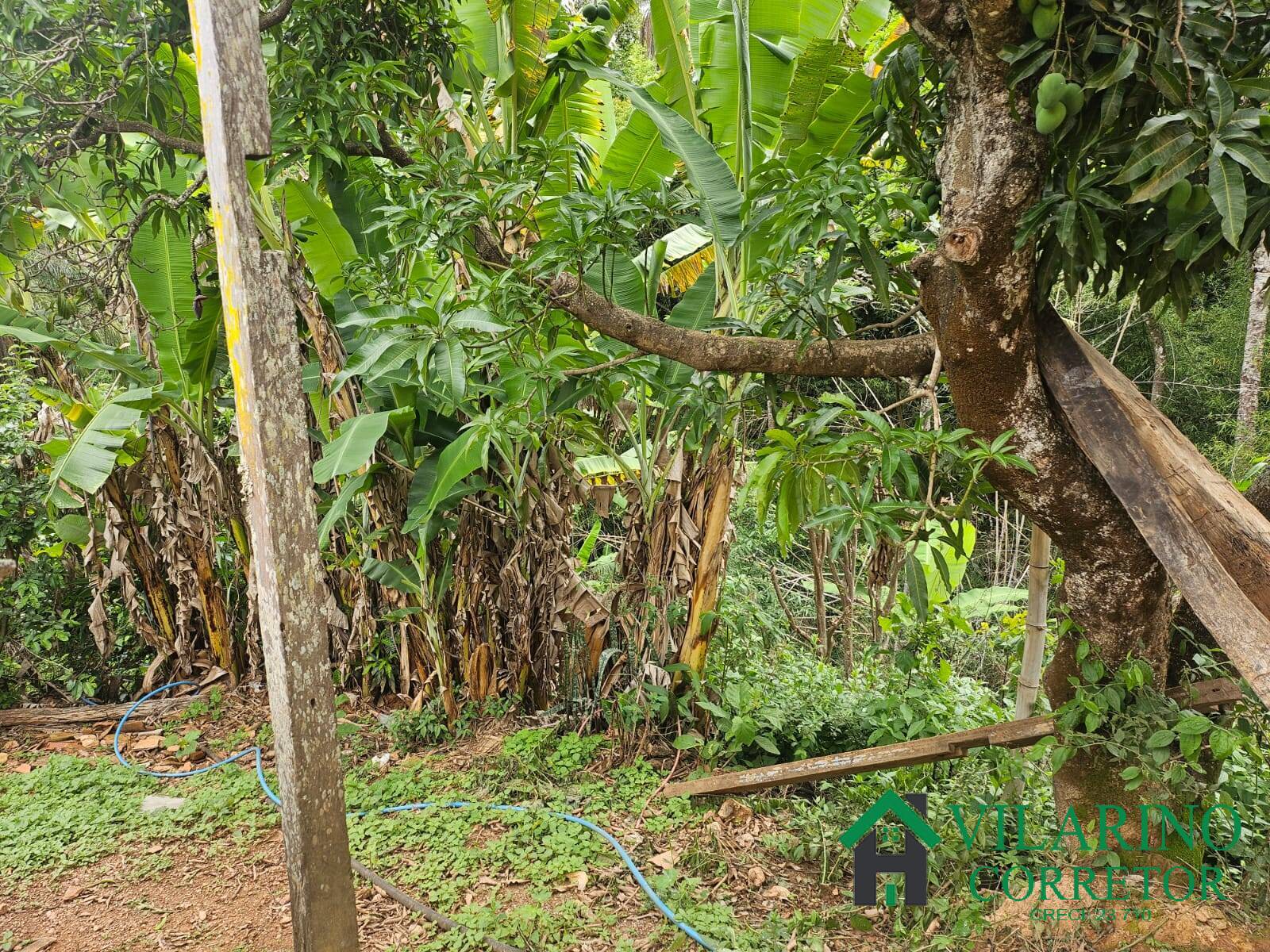 Fazenda à venda com 2 quartos, 300m² - Foto 26