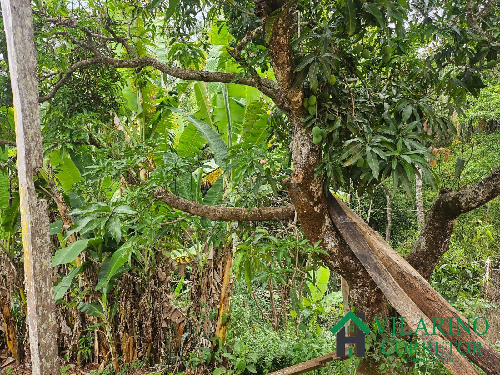 Fazenda à venda com 2 quartos, 300m² - Foto 24