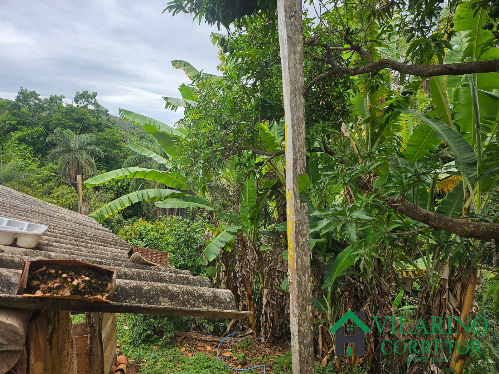 Fazenda à venda com 2 quartos, 300m² - Foto 32