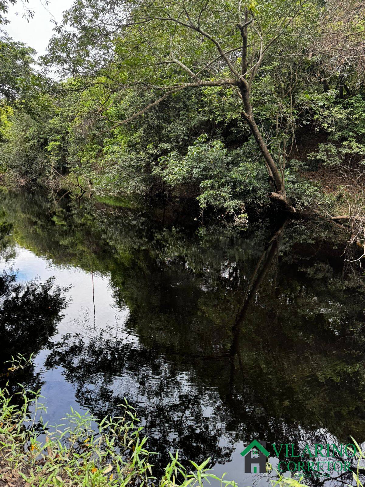 Fazenda à venda com 3 quartos, 600m² - Foto 2