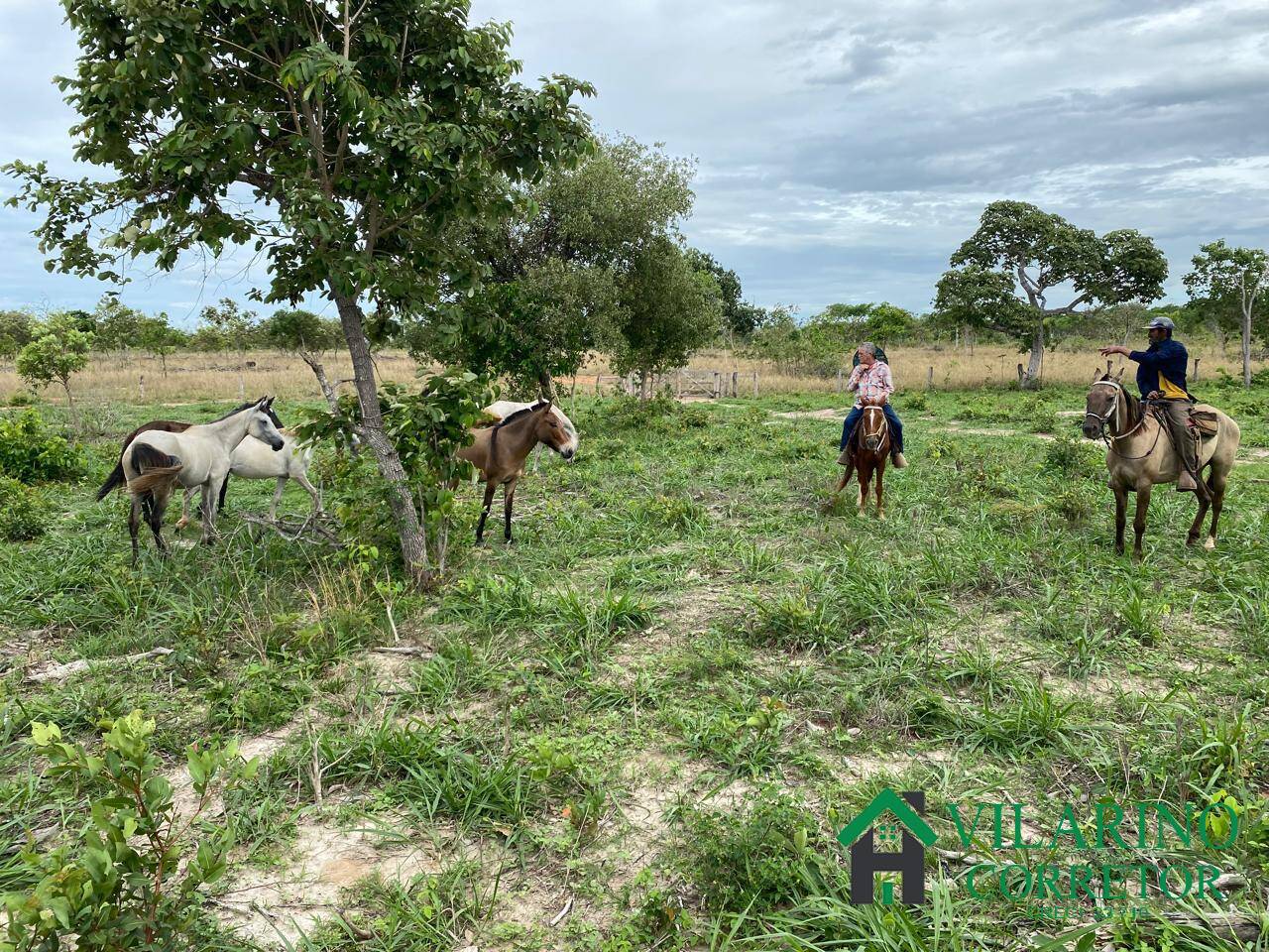 Fazenda à venda com 3 quartos, 600m² - Foto 5